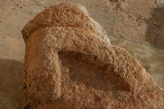 Karahantepe'de neolitik döneme ait insan ve hayvan heykelleri bulundu