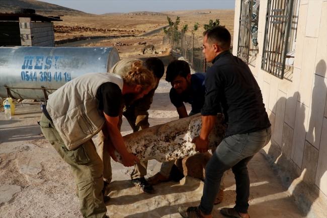 Karahantepe'de neolitik döneme ait insan ve hayvan heykelleri bulundu