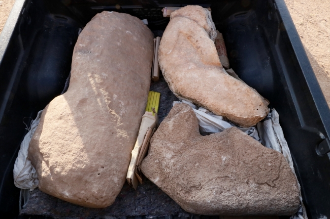 Karahantepe'de neolitik döneme ait insan ve hayvan heykelleri bulundu