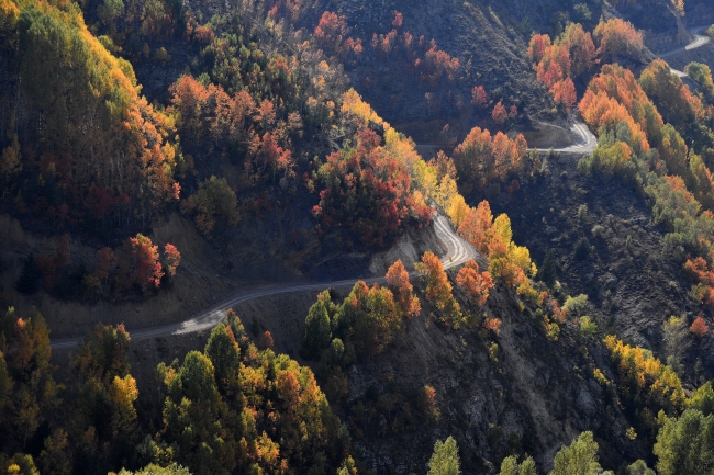 Doğu Karadeniz güz renkleriyle bir başka güzel