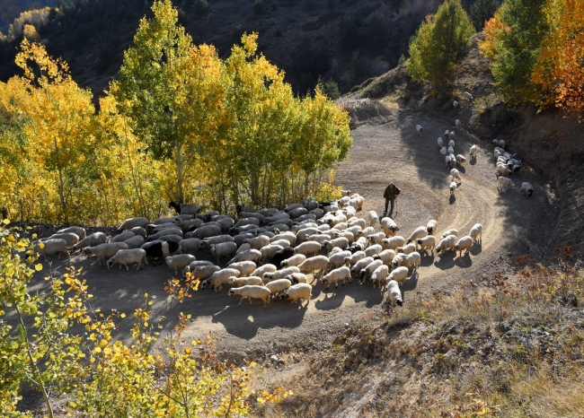 Doğu Karadeniz güz renkleriyle bir başka güzel