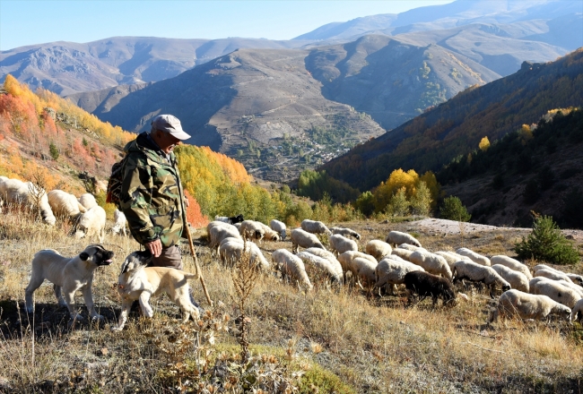 Doğu Karadeniz güz renkleriyle bir başka güzel