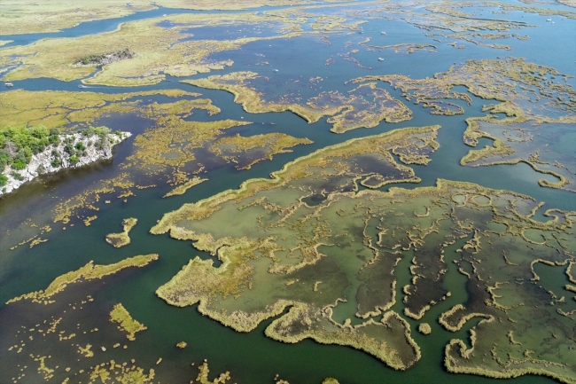 Fotoğraf: AA ( Labirent Görünümlü Sazlıklar)