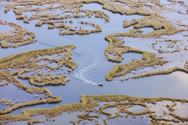 Fotoğraf: AA ( Labirent Görünümlü Sazlıklar)