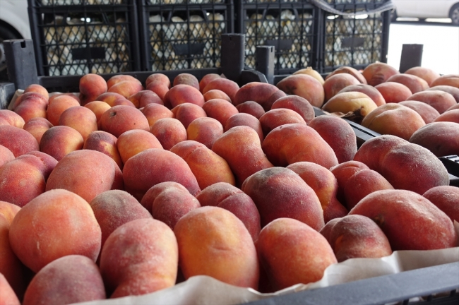 Rusya'ya en çok şeftali ihraç edildi