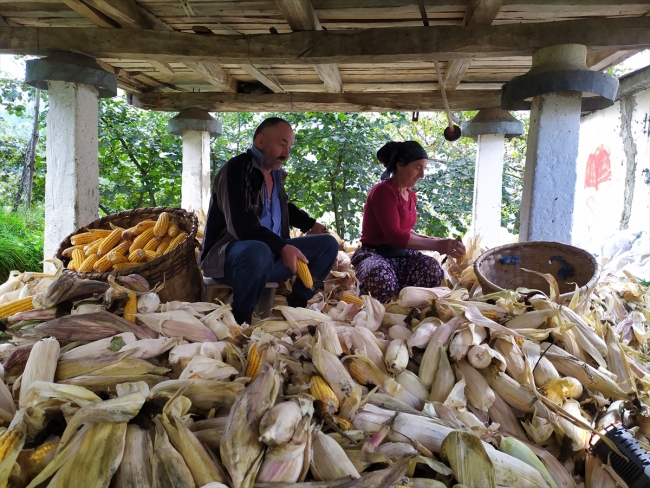 Fotoğraf: AA  Karadenizli kadınların kışa hazırlık süreci