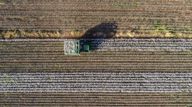 Fotoğraf: AA Mardin