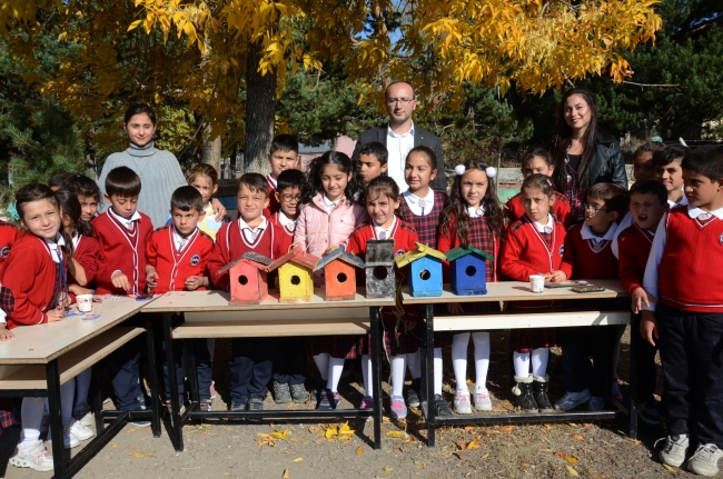 Okul bahçesindeki ağaçlara sevgi yuvaları yaptılar