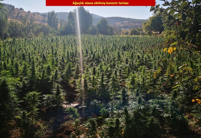 Diyarbakır'da 5 ton 312 kilogram esrar ele geçirildi