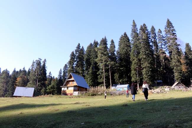 Fotoğraf: AA Düzce