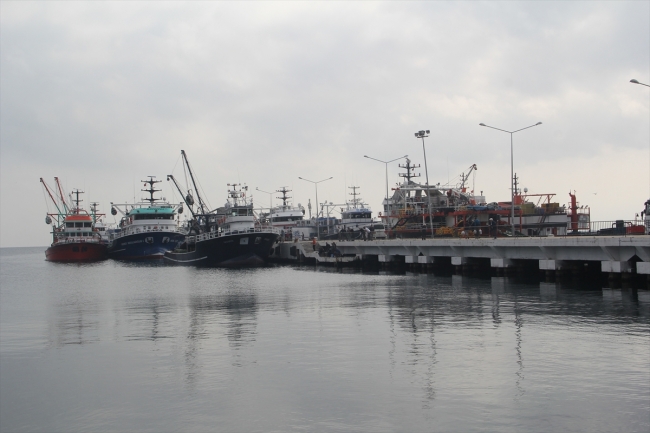 Kilosu 5 liraya düşen hamsi tüketiciyi sevindirdi