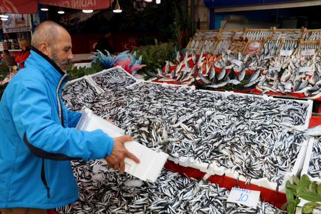 Hamsinin fiyatı sezon başına göre 3 kat ucuzladı