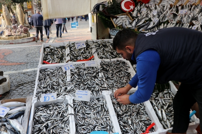 Hamsinin fiyatı sezon başına göre 3 kat ucuzladı