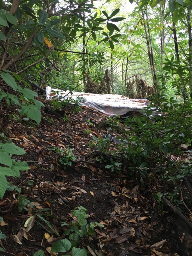 Rize'de ruhsatsız silah atölyesine operasyon: 3 gözaltı