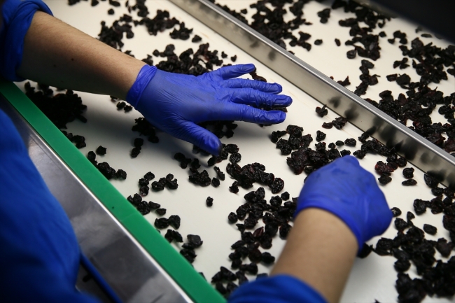 Çin'e gıda ihracatı yüzde 86 arttı