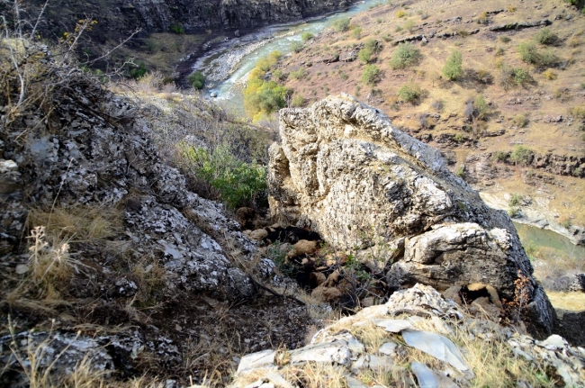 Bitlis'te uçurumdan düşen 315 koyun telef oldu