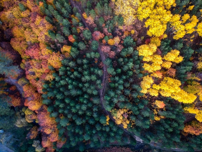 Anadolu'da sonbahar renkleri