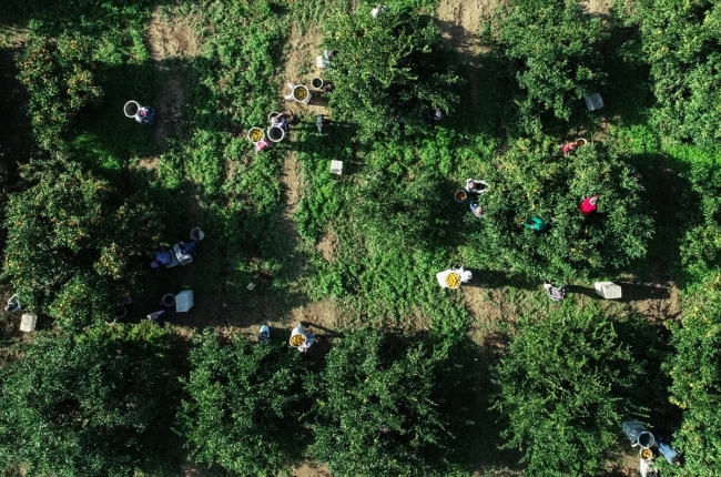 Fotoğraf: AA, İzmir