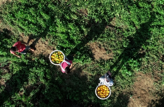 Fotoğraf: AA, İzmir