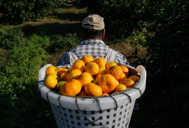 Fotoğraf: AA, İzmir