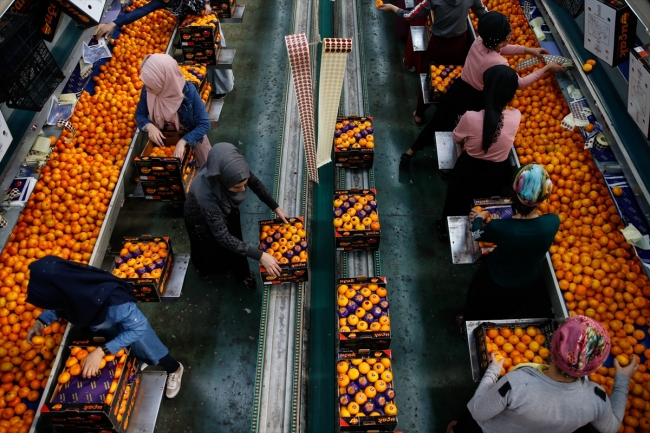 Fotoğraf: AA, İzmir