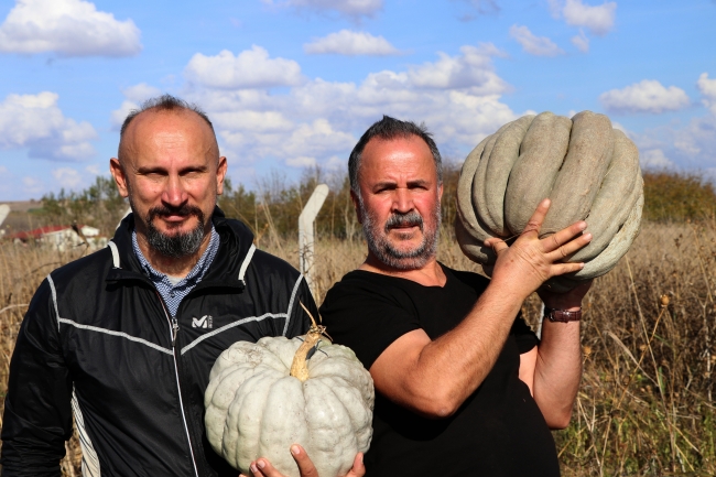 Fotoğraf: AA, Edirne