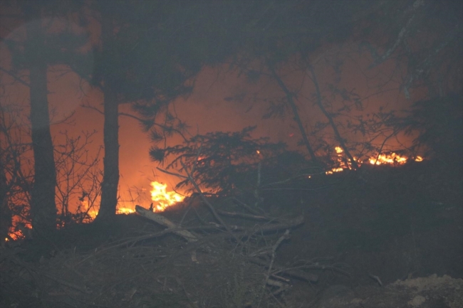 Hatay'daki orman yangını kontrol altına alındı