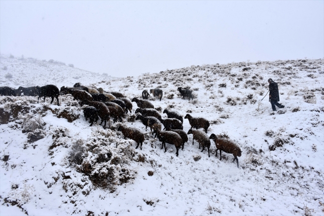 Muş'ta kar ve tipi nedeniyle mahsur kalan 10 kişi kurtarıldı