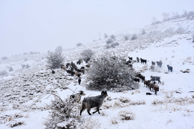 Muş'ta kar ve tipi nedeniyle mahsur kalan 10 kişi kurtarıldı
