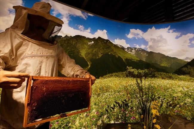Karadeniz'in tarihe tanıklık etmiş müzeleri