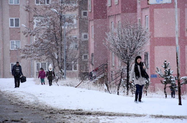 Bitlis'te soğuk hava yerini kara bıraktı