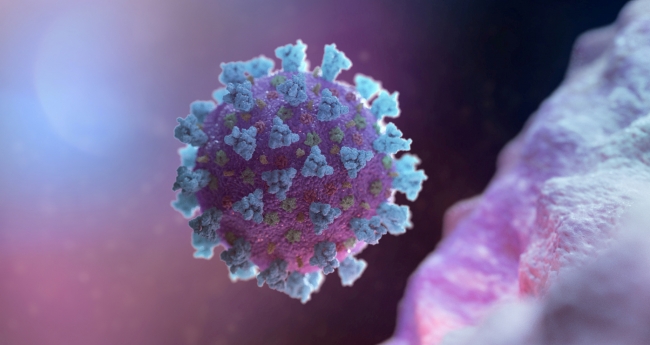 Türkiye salgına karşı tüm tedbirlerini aldı