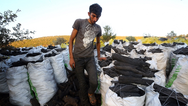 Mangal kömürcülerinin zorlu mücadelesi