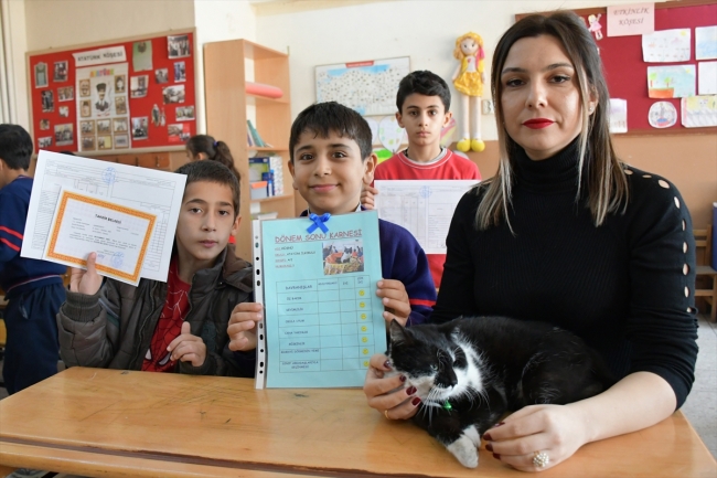 Sokak kedisi "Hüsnü" de karnesini aldı