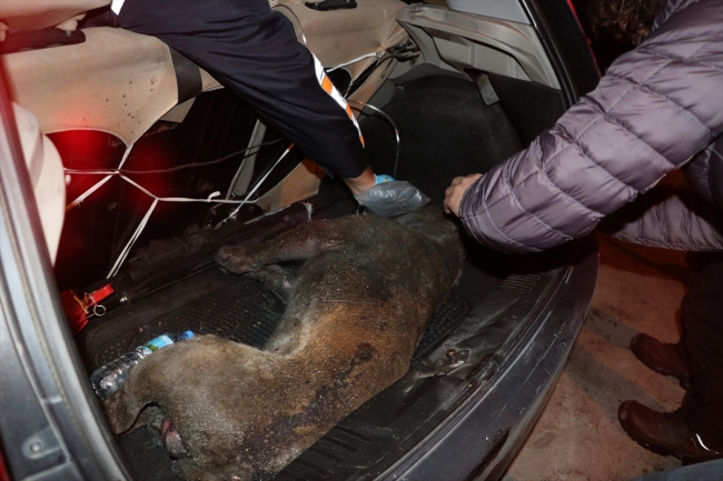 Oto tamirhanesinde alevler içinde kalan köpeği itfaiye ekibi kurtardı