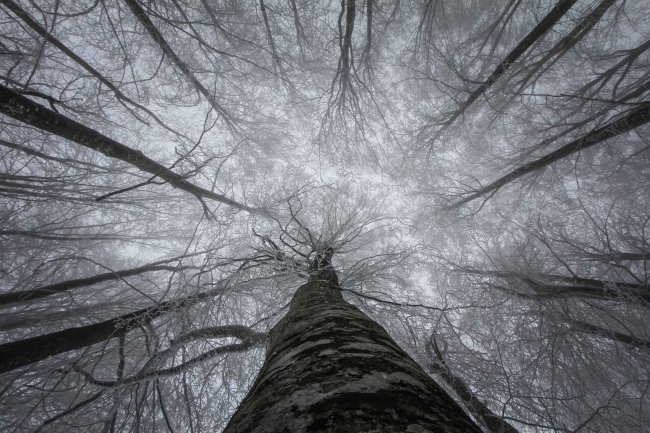 Domaniç Dağları'nda yağan kar kartpostallık görüntüler oluşturdu