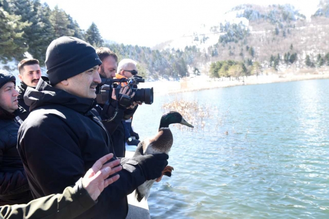 Bakan Pakdemirli ayı yavrusunu biberonla besledi