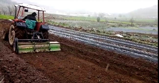 Kar yağışı altında çilek ekimi