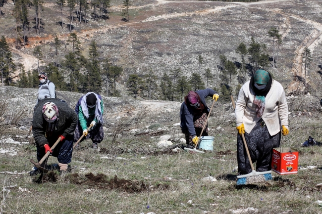 Yangından zarar gören 900 hektarlık alan yeniden yeşillendiriliyor