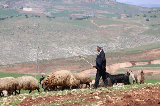 1 Mayıs'ı çalışarak geçiriyorlar