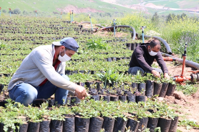 1 Mayıs'ı çalışarak geçiriyorlar