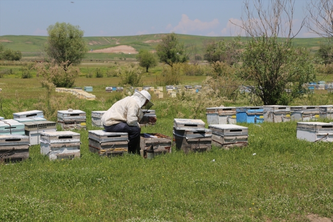 1 Mayıs'ı çalışarak geçiriyorlar