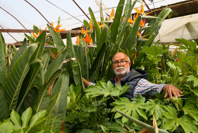 Anneler Günü çiçek üreticisine "ilaç" gibi geldi