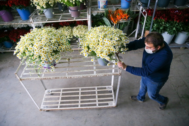 Anneler Günü çiçek üreticisine "ilaç" gibi geldi