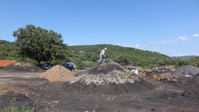 Geçimlerini mangal kömüründen sağlıyorlar