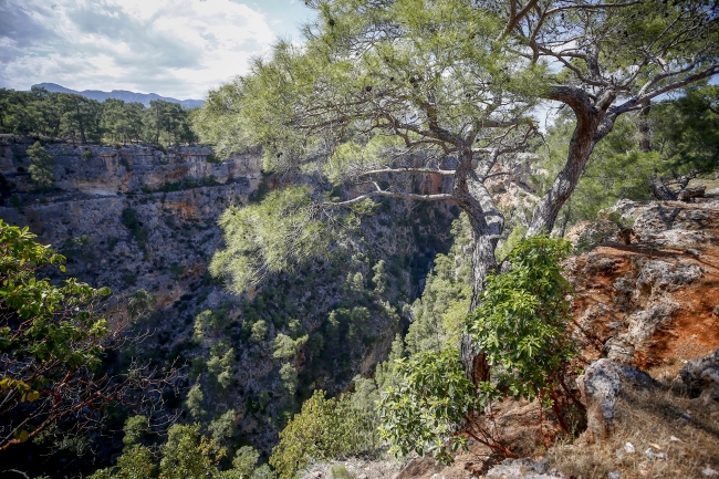 "Güver Uçurumu"nda koronavirüs sessizliği