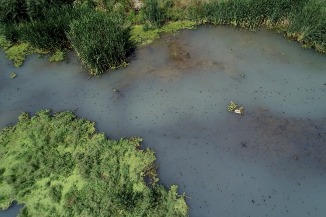 Fabrika atıkları Teke Deresi'nin rengini değiştirdi