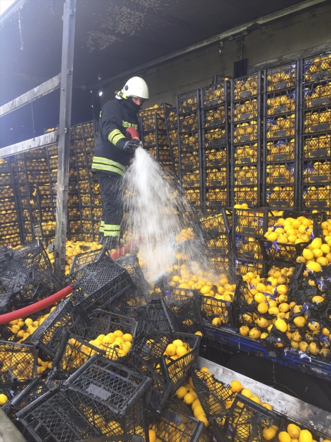 Anadolu Otoyolu'nda seyir halindeki limon yüklü tırda yangın