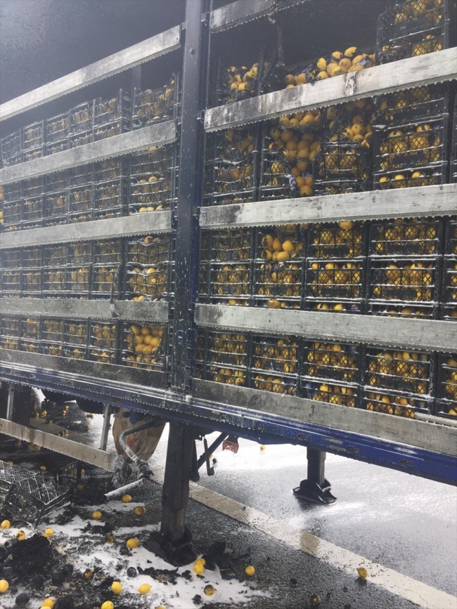 Anadolu Otoyolu'nda seyir halindeki limon yüklü tırda yangın