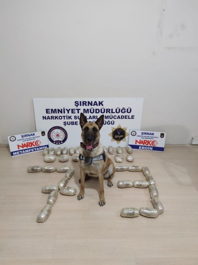 Şırnak'ta 20 kilogram uyuşturucu ele geçirildi